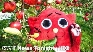 Nyango Star: The Heavy Metal Cat Mascot Saving A Japanese Farm (HBO)