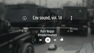 Pure NeggaㆍCnv sound, vol. 14 (TikTok)