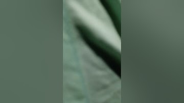 cs101 assignment 1 solution spring 2022, cs101 assignment 1 solution 2022, cs101 assignment #cs101