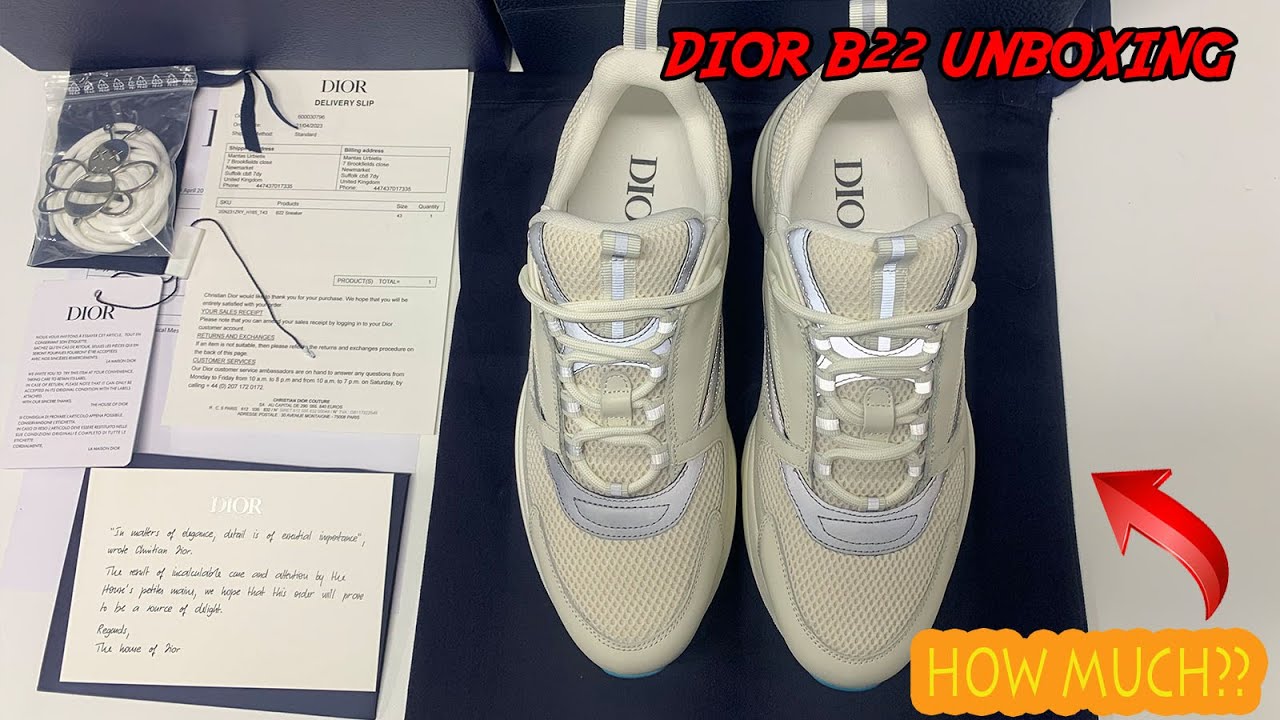 Dior B22 White Silver Blue Sneaker Review 