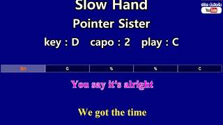 Video thumbnail of "Slow Hand - Pointer Sister (Karaoke & Easy Guitar Chords)  Key : D  Capo : 2"