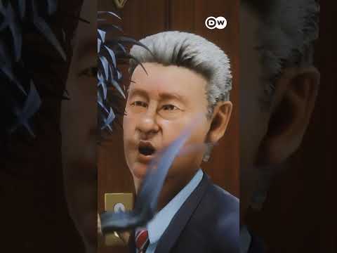 Благоустройство #zapovednikshow #shorts