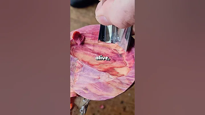 What's the Funniest Way You've Caught Someone Lying? 😂 #shorts