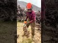 Chainsaw Still #chainsaw #still