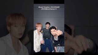 Bloody Paradise x VELOCIDADE (PETERBLUE Remix)#BloodyParadise #JUNGWON #SUNOO #NI_KI #ENHYPEN