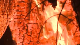 Celebrity Northern California wildfire destroys at least 400 homes   Reuters Net Worth