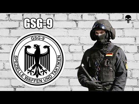 Стрелковое оружие немецкого спецназа GSG 9