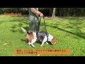 LOOBANI 犬 ハーネス 犬 歩行補助ハーネス 老犬の前足と後足の補助 けが 介護リハビリにも利用可能 安定調節ハンドル付 便利なスナップデザイン 両側カットアウトデザイン メッシュを使用