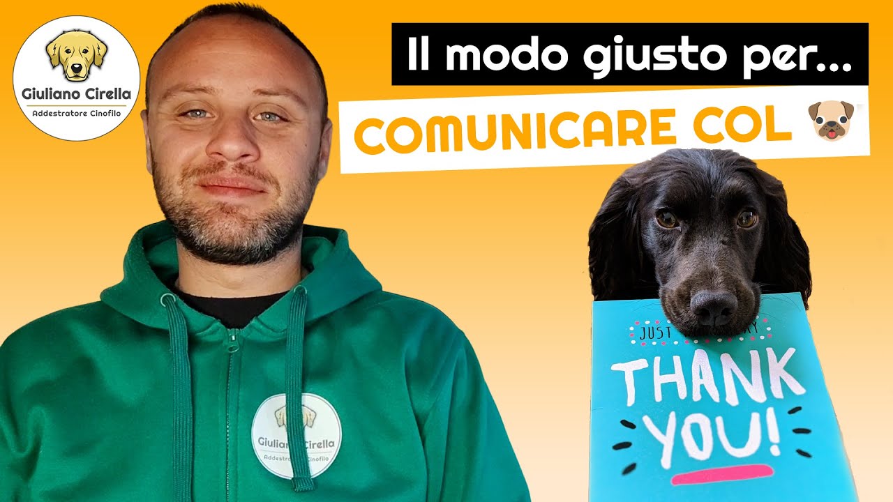 🐶 Prossemica e cani: come comunicare DAVVERO con loro | Giuliano Addestratore