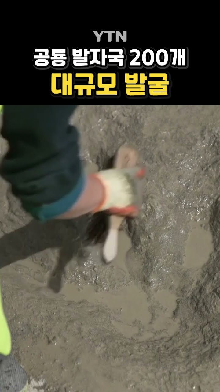 '공룡 고속도로' 발굴 #shorts / YTN