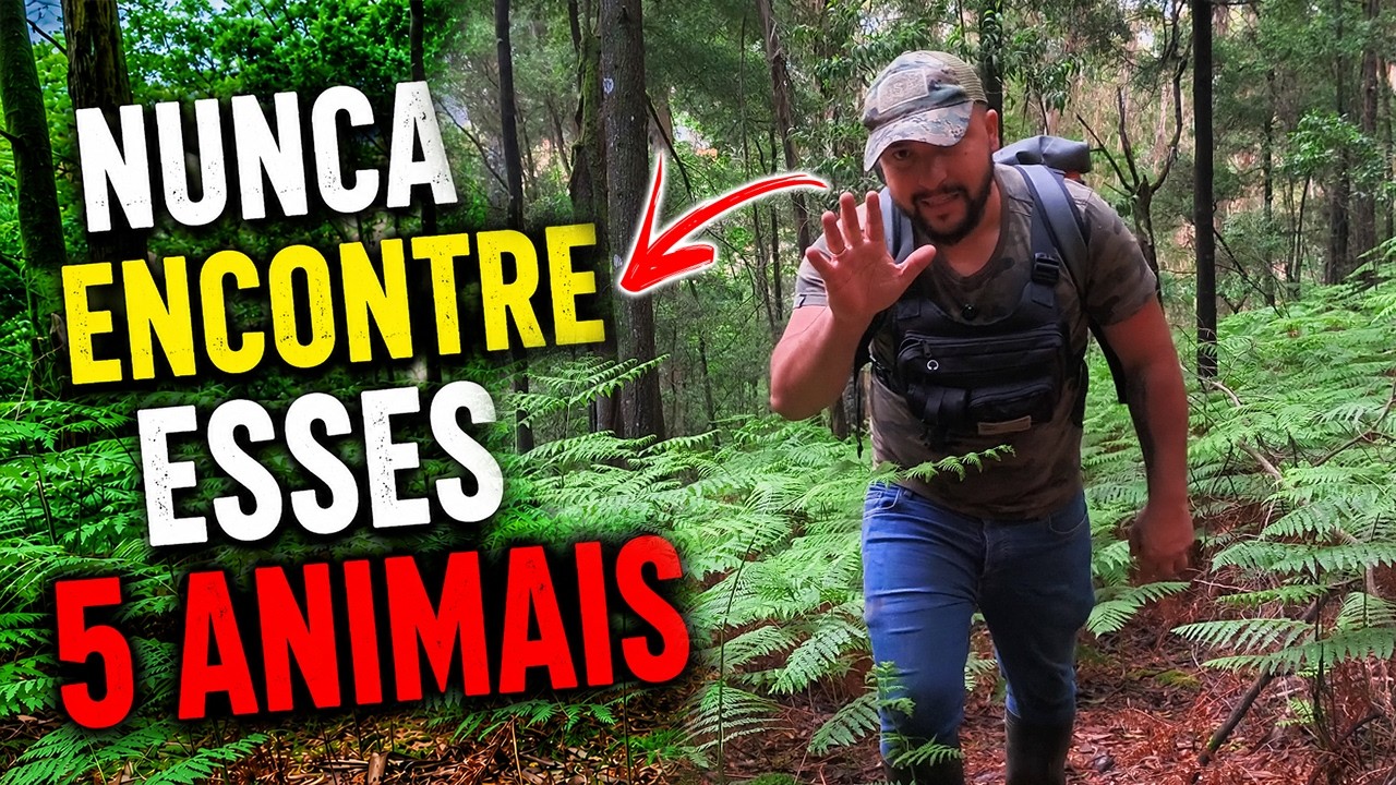 Nunca Encontre os 5 Animais Mais Perigosos da Mata