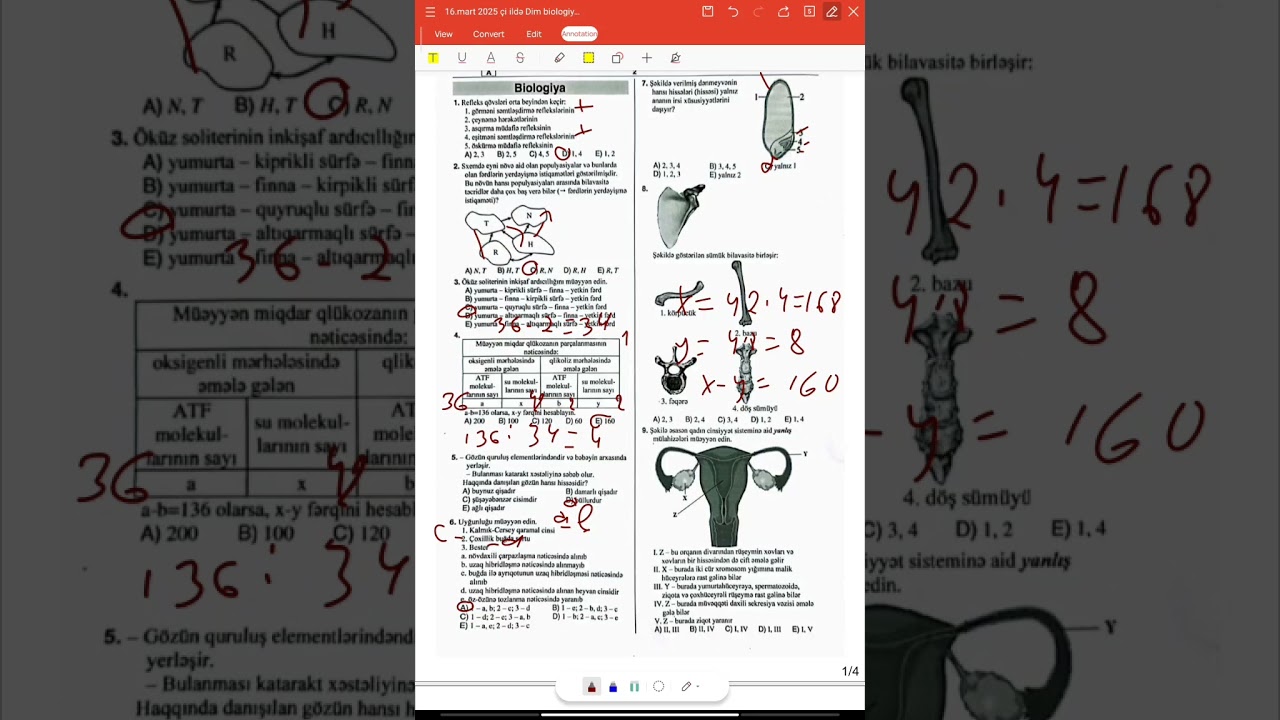 2025.16 mart.Dim biologiyadan sınaq suallarının izahı #miq #biologiya #abituryent #education #kəşfet