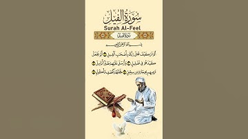 Surah Fil | سورة الفيل | Amazing Tilawat #surahfil #quran #sabhatti4