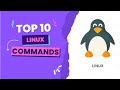 Top 10 Linux Commands Everyone Should Know - Easy Commands