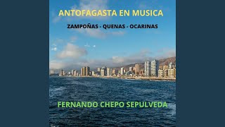 Camino a Antofagasta