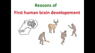 Сauses of brain development in early humans