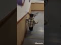 This isnt me btw these are just random people. still funny tho
