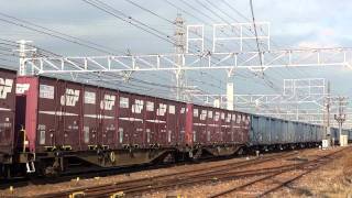 JR貨物 EF65-1050 専用貨物列車(673レ EF65PF 青ワム80000) 稲沢－清洲