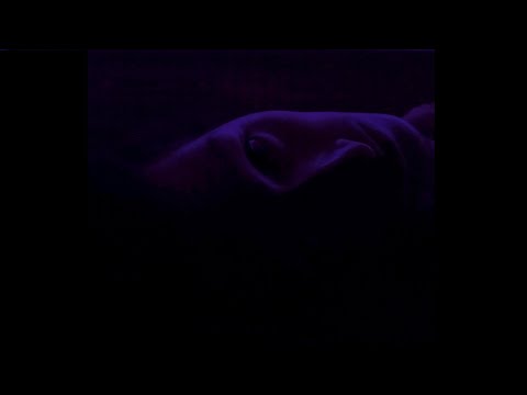 You Left Me On Suicide Sunday