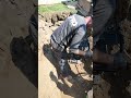 Compacting the soil with the Milwaukee Rammer. @MilwaukeeTool  #ProServicePlumbing #milwaukeetools