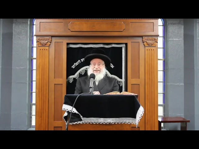 Inadvertently Endangering Civilians While Fighting Terrorists | By Harav Asher Weiss Shlit"a