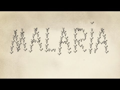 Video: Malaria In Kaart Brengen: Inzicht In De Wereldwijde Endemiciteit Van Falciparum En Vivax Malaria