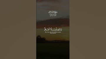 #القارئ #سعود_الشريم #سورة_النساء #قران_كريم_راحه_نفسيه #yasseraldossary #راحة_نفسية