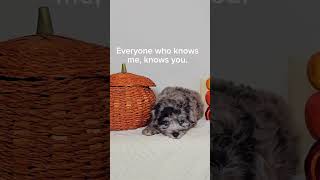 So Maybe I Talk About You A Lot...