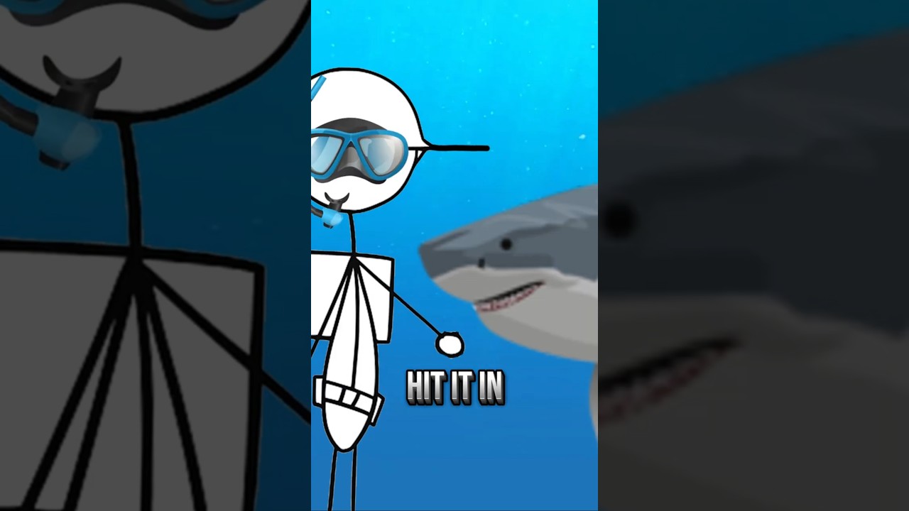 A SHARK ATTACK YOU ?!  #english #animation #funny #entertainment #shark  #memes #totallytoby #usa