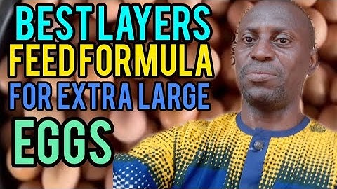 This Is the Layers Feed Formula That Produces Extra-Large Eggs Daily (Vet Don’t Want You to Know!)