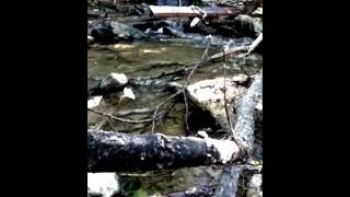 IMG 8112