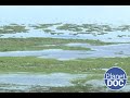 The place where wildlife takes refuge; get to know Lake Manyara (FULL DOCUMENTARY)