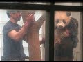 お色直しにいくシャンシャン リーリーが通過のため控え室へ 2018.04.02 ABC Panda movies