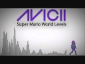Super Mario Levels Music Parody AVICII Levels 