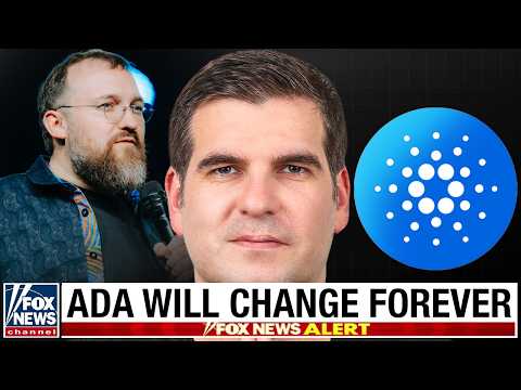 These 4 Phases Will Change Cardano Forever