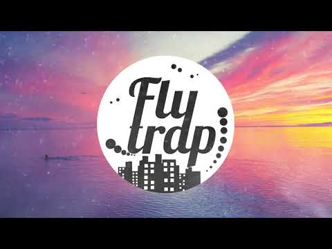 Billie Eilish - COPYCAT (DJ FlyTrap Remix)