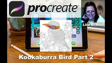 Procreate Coloring Tutorial Kookaburra Bird Zentangle On Ipad Part 2  Lisa Brando Extreme Coloring