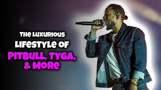 The Millionaire Lifestyle of Pitbull, Tyga, & More