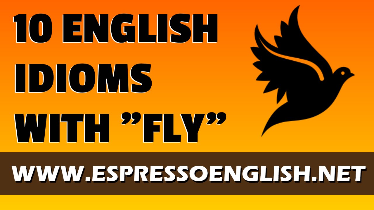 flying visit idiom meaning and sentence