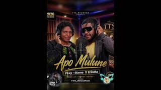 Apomulune 2026 Png  fk Hame Ft Erintha Tts records Prod By Skinny Blaze 