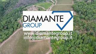 Azienda agricola vitivinicola biologica di 248 Ha con casale e cantina - AZ140 - Gaiole in Chianti