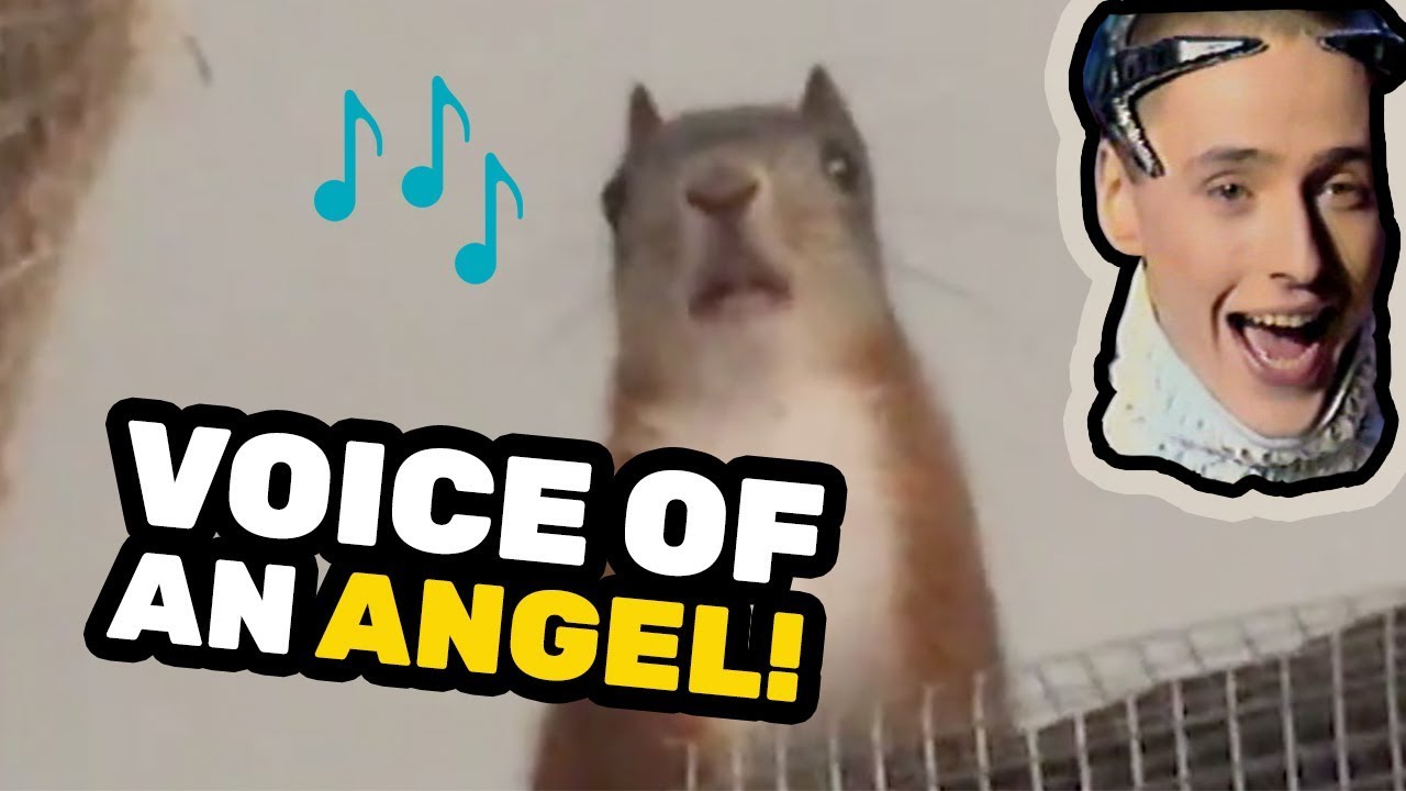 SQUIRREL SINGS VITAS THE 7TH ELEMENT YouTube