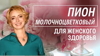 Растения для женского здоровья. Пион Молочноцветковый. Лечебные свойства пиона при нарушении цикла