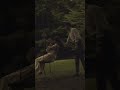خطفوني عمرو دياب خطفوني اغاني عربية ميوزك شورتات الهضبة Amrdiab Shorts Arabicmusic خطفوني عمرو دياب خطفوني اغاني عربية ميوزك شورتات الهضبة Amrdiab Shorts Arabicmusic