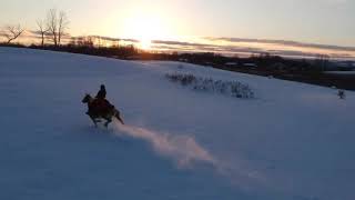 A Riding Skirt And A Drone