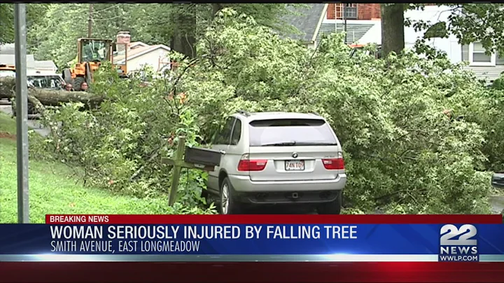 Tree falls on woman in East Longmeadow