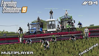 BIG ALFALFA silage harvest | JZD Vidhostice CZ | Multiplayer Farming Simulator 19 | Episode 94