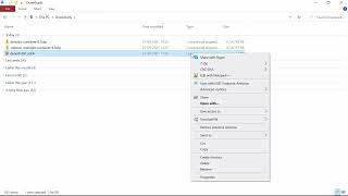 Configuration to run the Denodo Virtual DataPort with a container