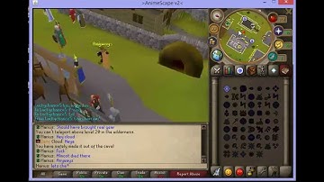 New 317 server - Animescape! Vps hosted 24/7