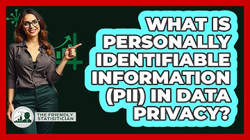 What Is Personally Identifiable Information (PII) In Data Privacy? - The Friendly Statistician